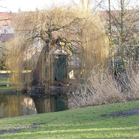 B&B Het Rommelwater Gent Bagian luar foto