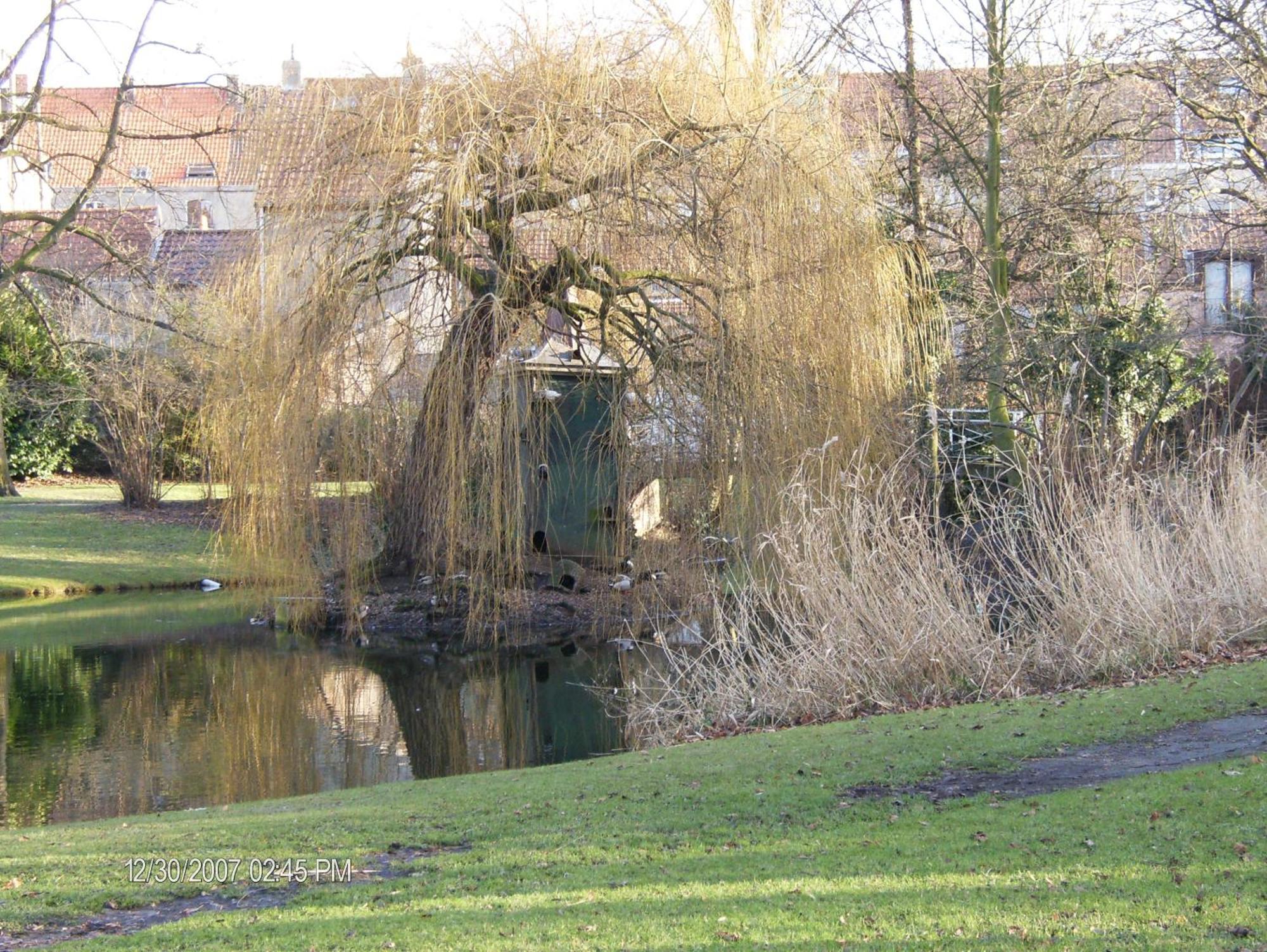 B&B Het Rommelwater Gent Bagian luar foto